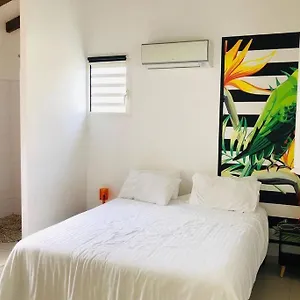  Villa Kâz Tropicale